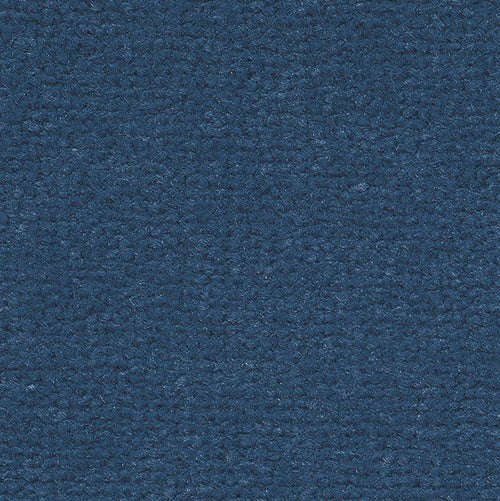 3q95_bisam_Ogeborg