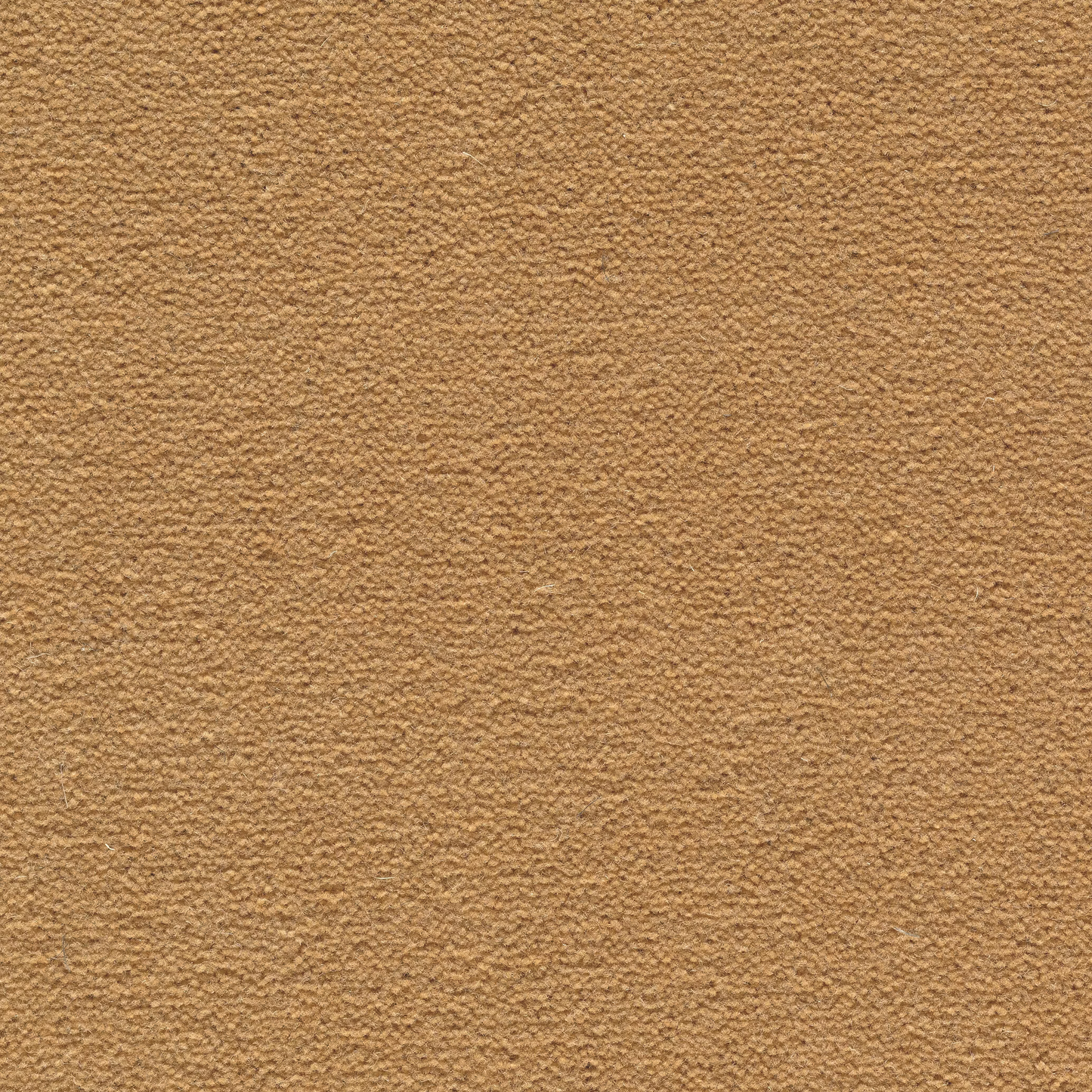 68b5bc397c977ab722adedd8_Sheba_201090