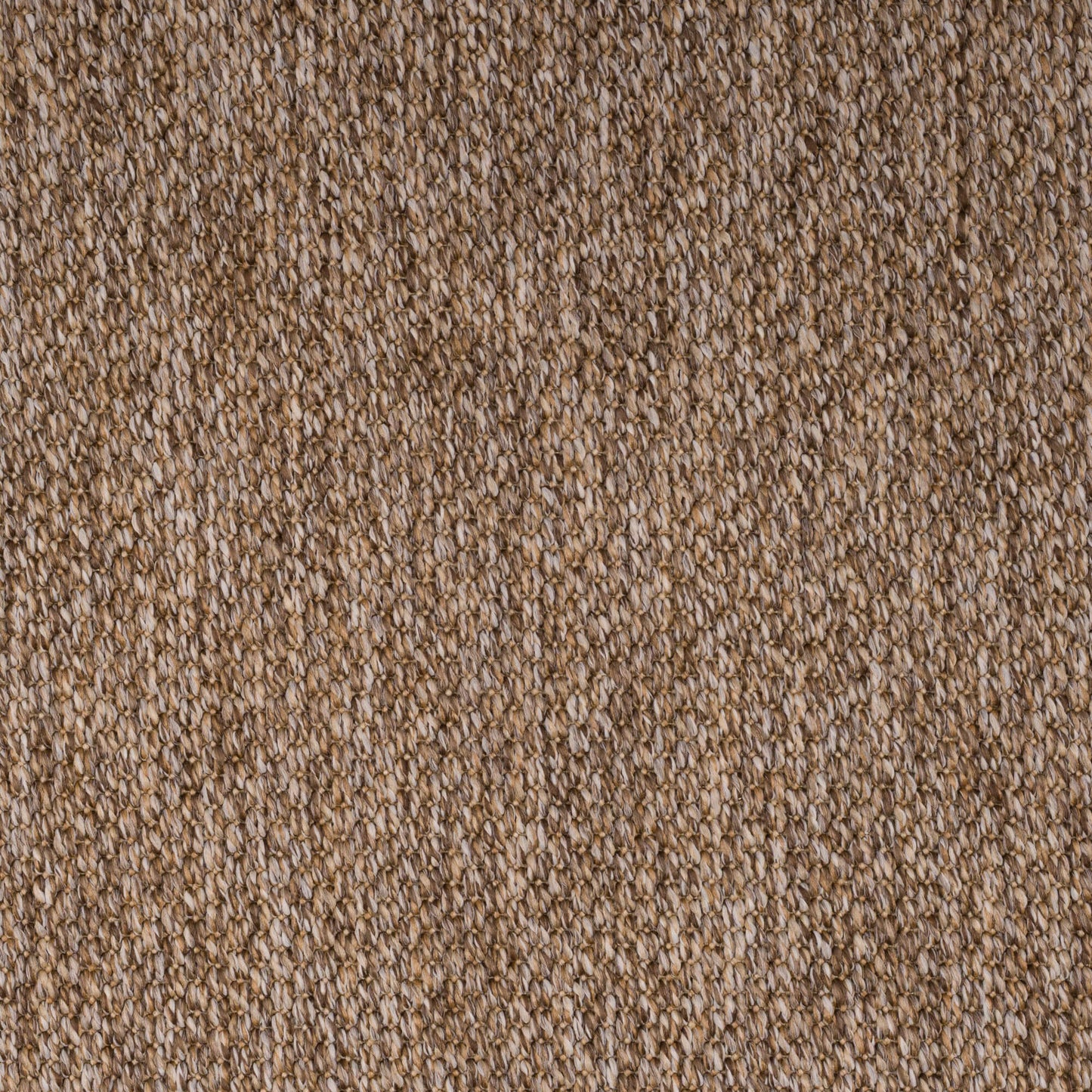 PANAMA-warm-brown-3228