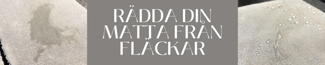 Rädda din matta från fläckar – och glöm inte impregneringen!
