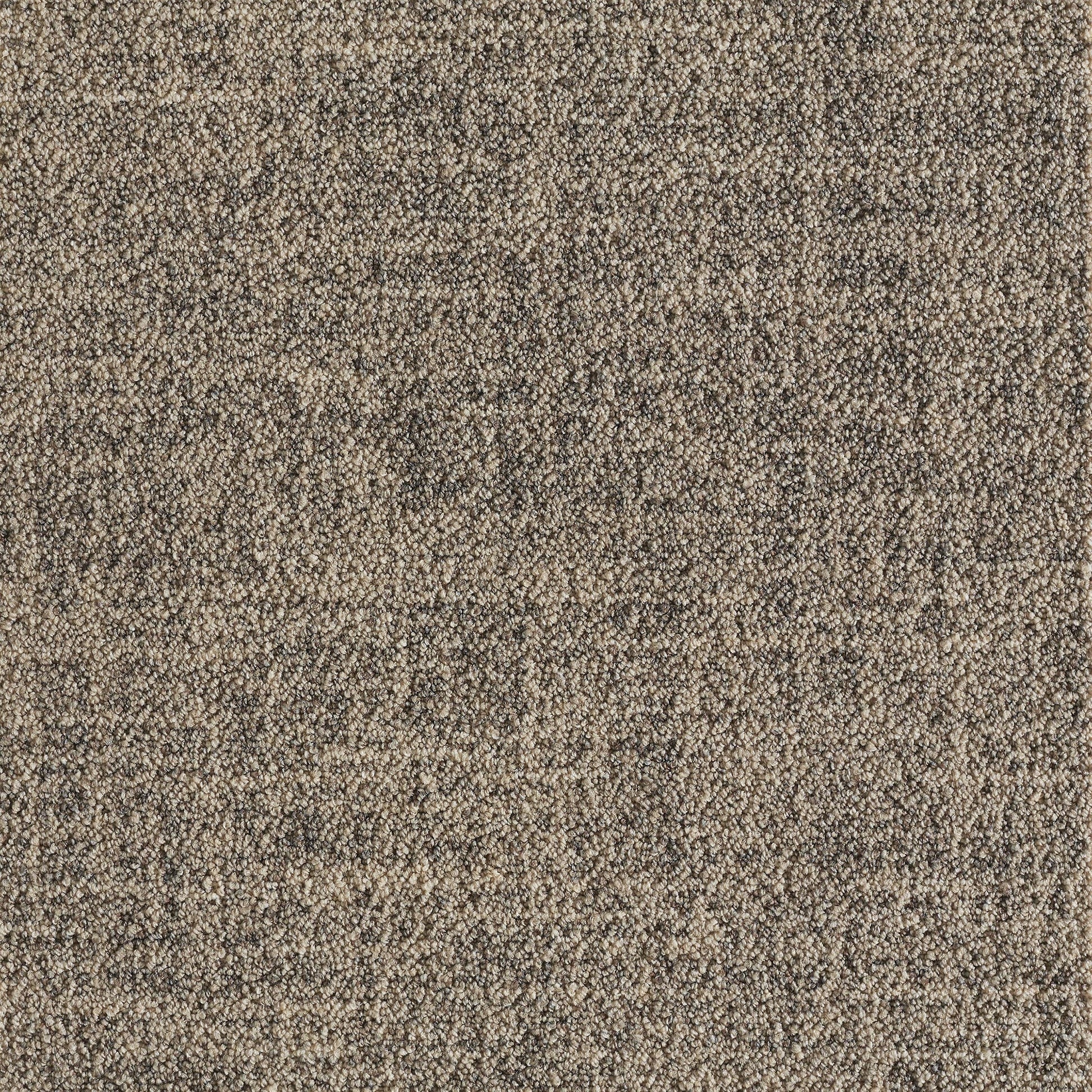0840210EGEMATTACARPETSGOTEBORGREFORMCALICO