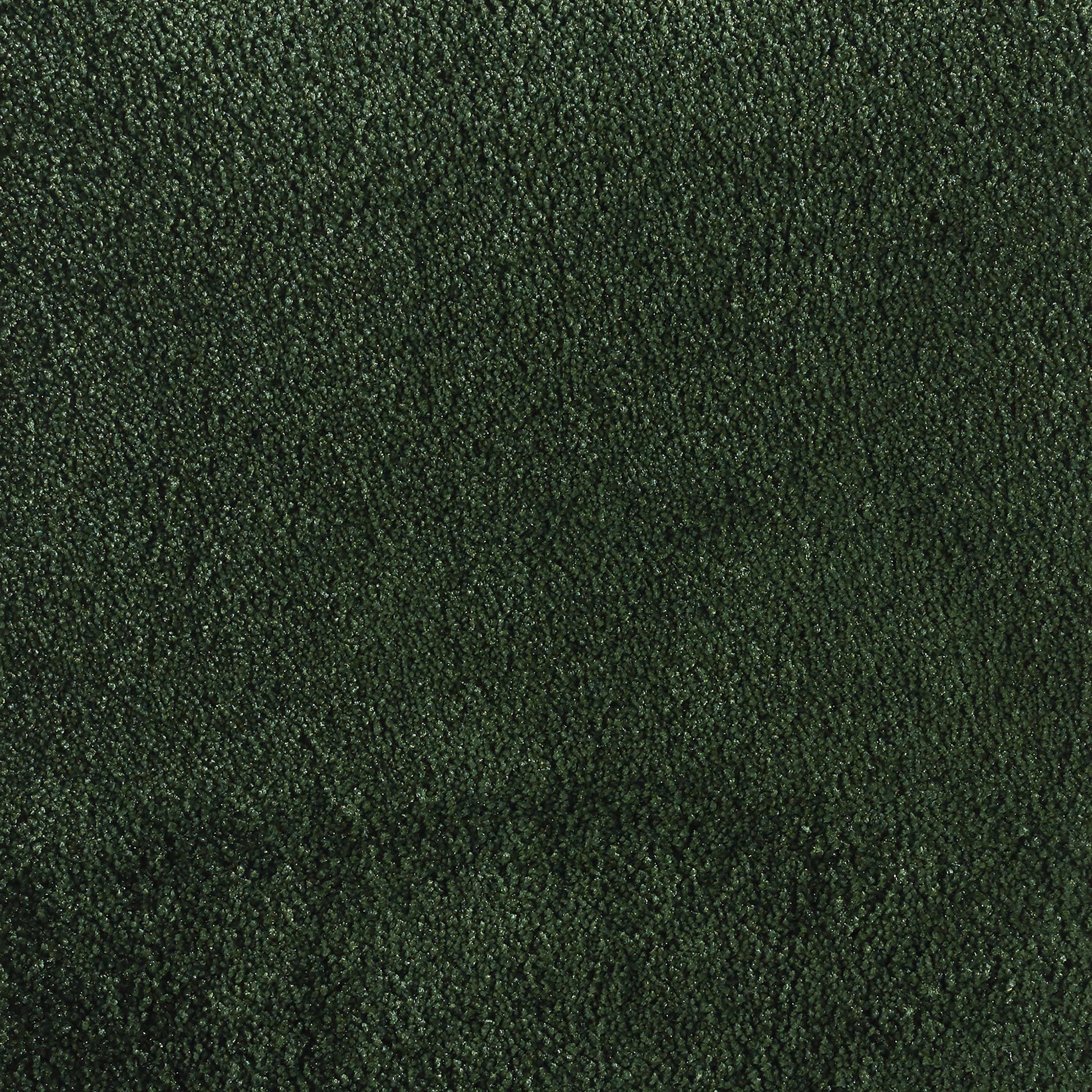 0845350EgeMatta-EpocaMoss