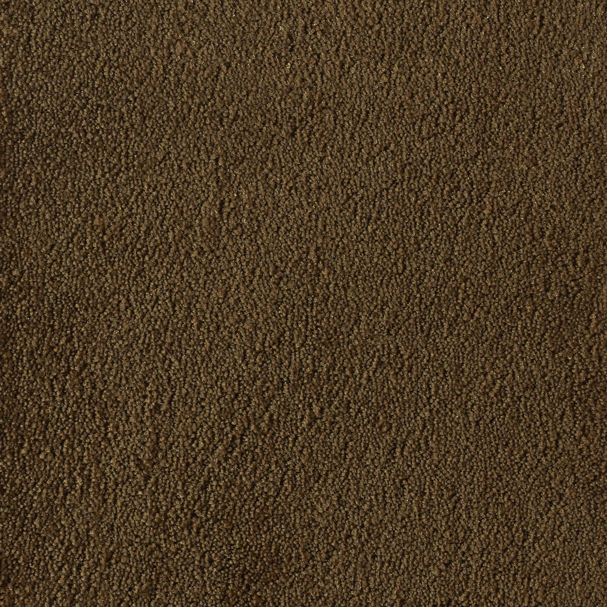 0845630EgeMatta-EpocaMoss