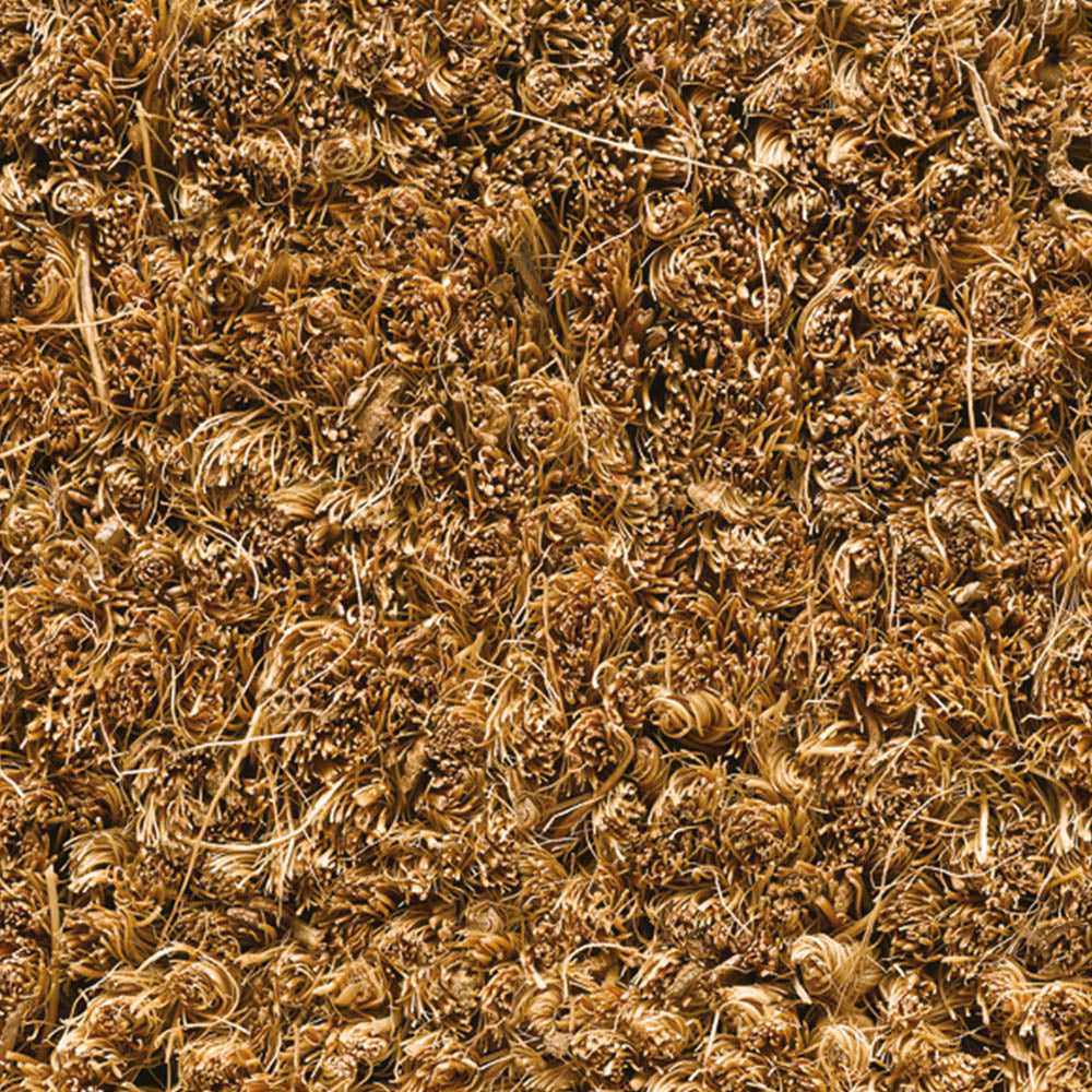 20mm-kokosborst-00natur