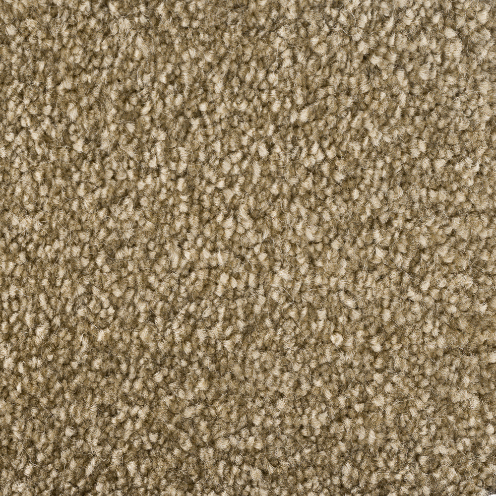 244623-Field-sense