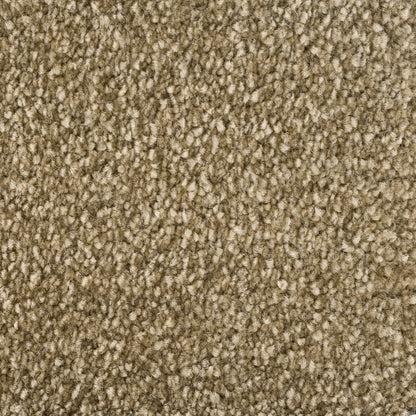 244623-Field-sense