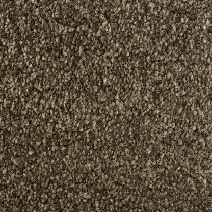 244624-salvia-sense