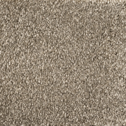 244637-almond-sense