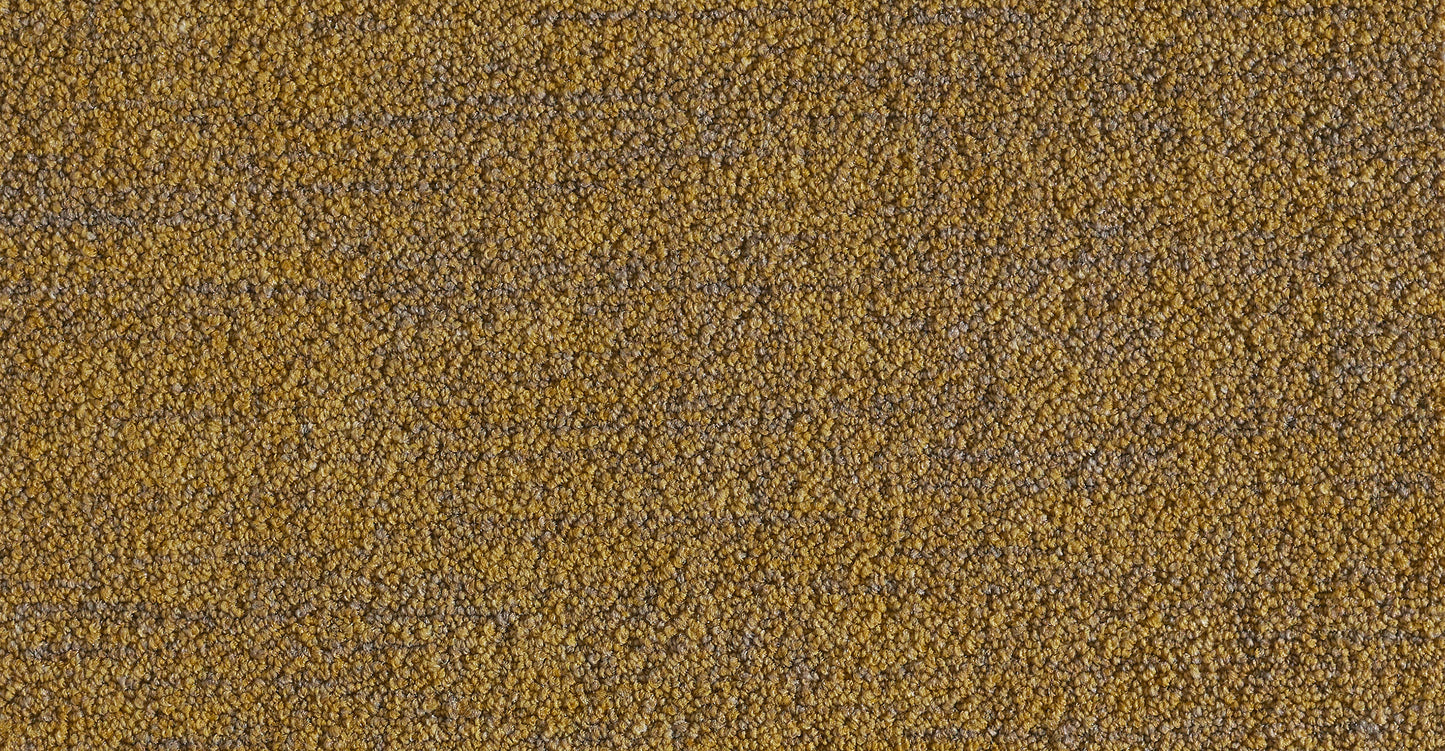 Ege ReForm Calico