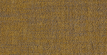 Ege ReForm Calico