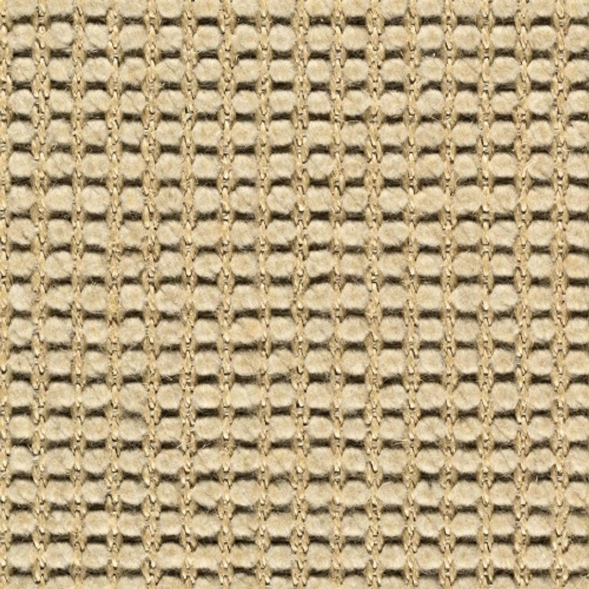 Sicoma-Maori-8023