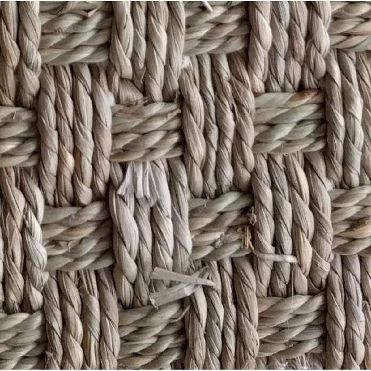 686b92fbf0144d8084716d1a_Fine-Biscayne