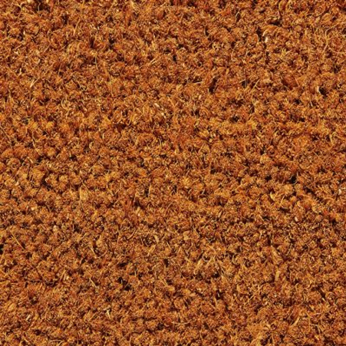 68b1a3341846807bd7ec128e_686b92b482bddc71852dae1f_Corn