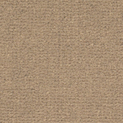 8k24_bisam_Ogeborg
