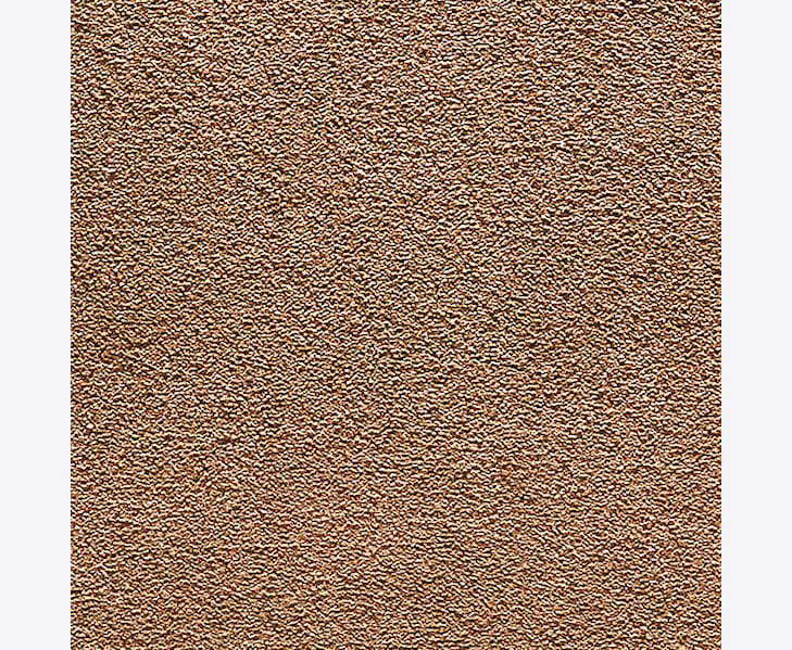 BronzemjukmattaCamelot