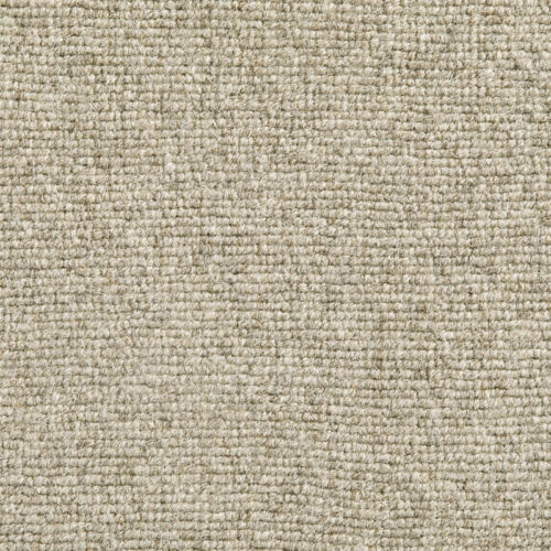 Desuri-Senecio-by-Jacaranda-PR1-e1761215650703