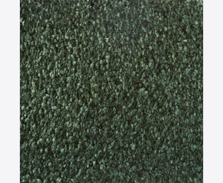 ForestmjukmattaSanford