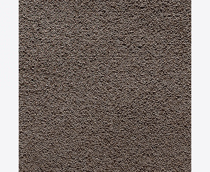 HazelmjukmattaCamelot