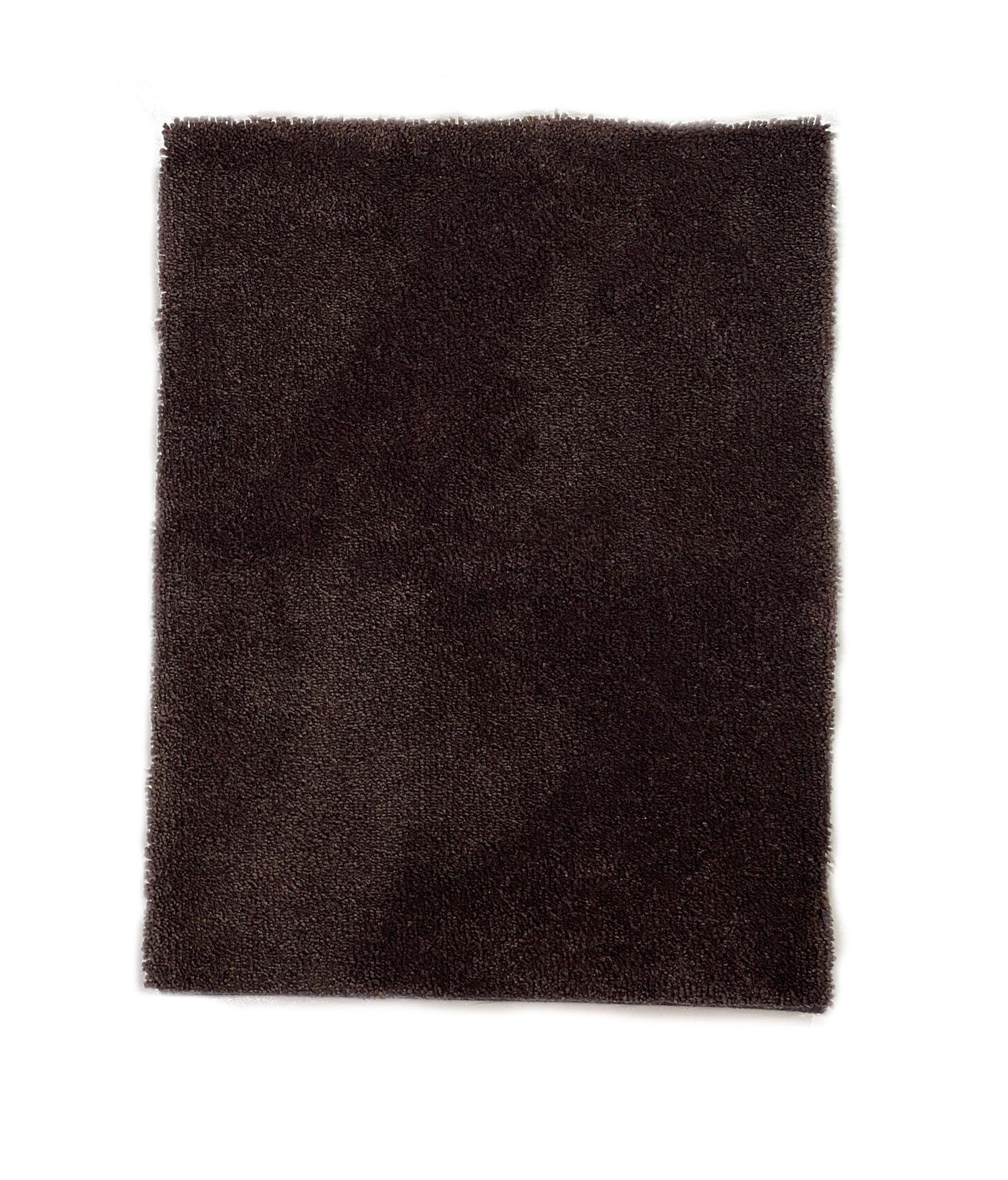 IMG_2257_Shelby_Brun