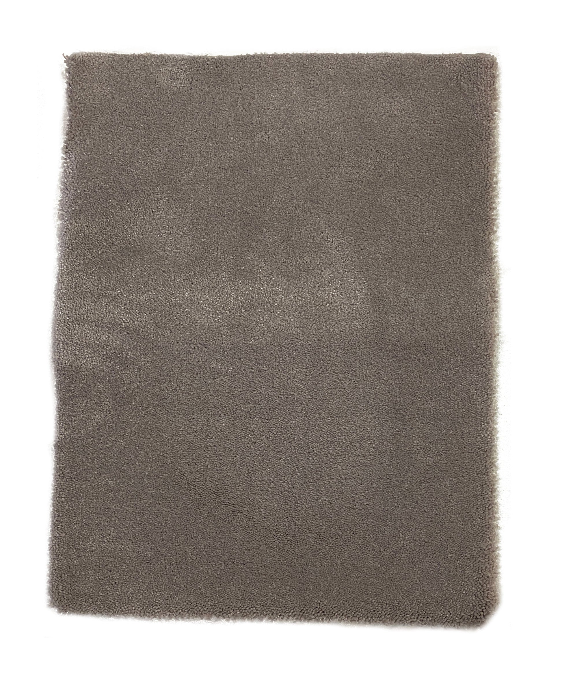 IMG_2269_Shelby_Ljusgra