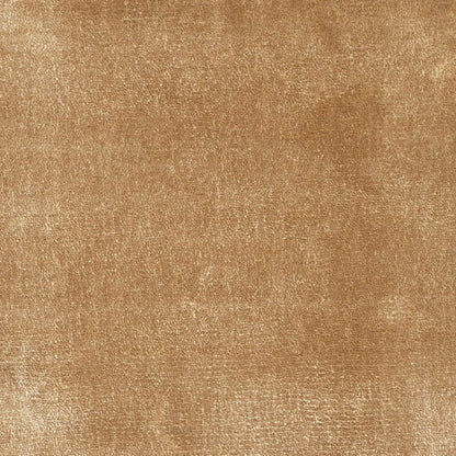 Kheri-Camel-by-Jacaranda-PR1-e1761216558864