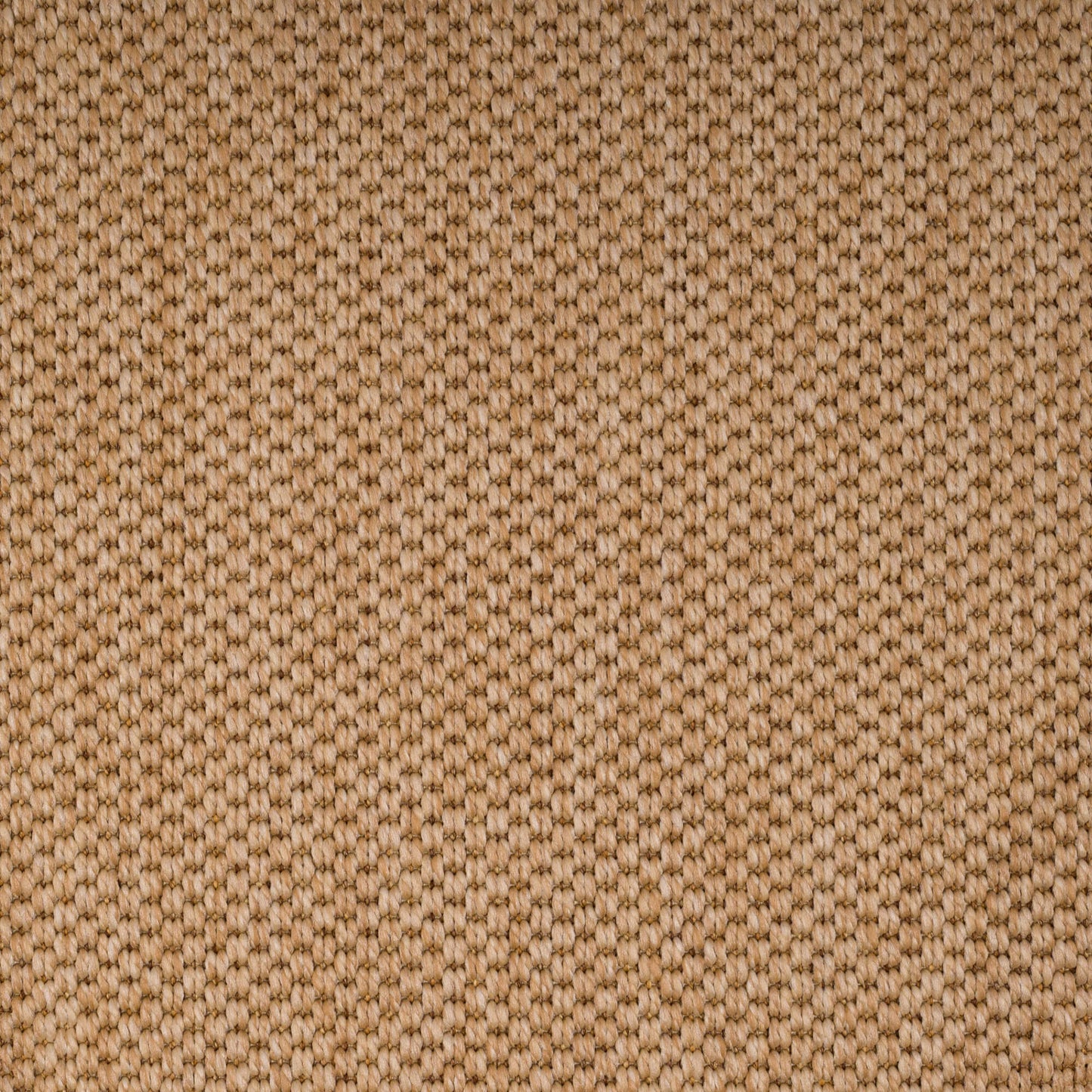 PANAMA-Natural3227