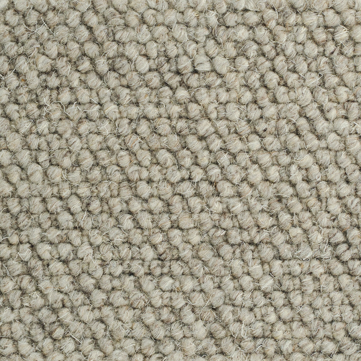 New-Zealand-wool-Kitt-35
