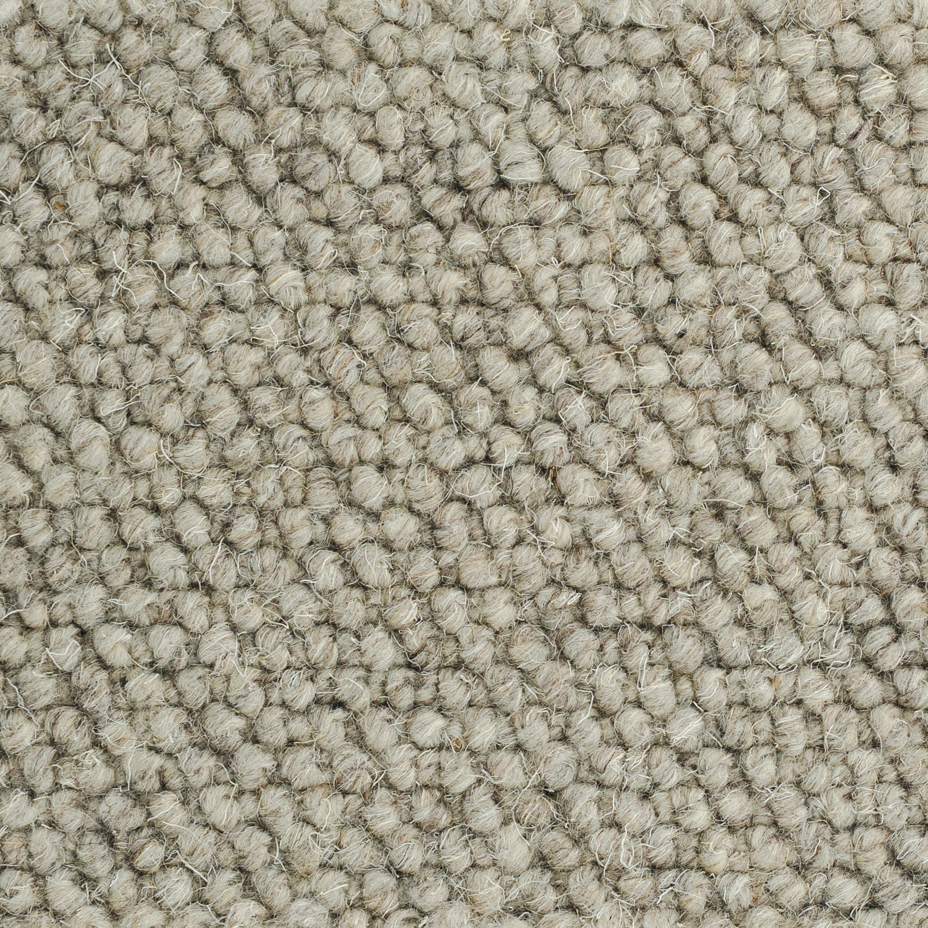 New-Zealand-wool-Kitt-35