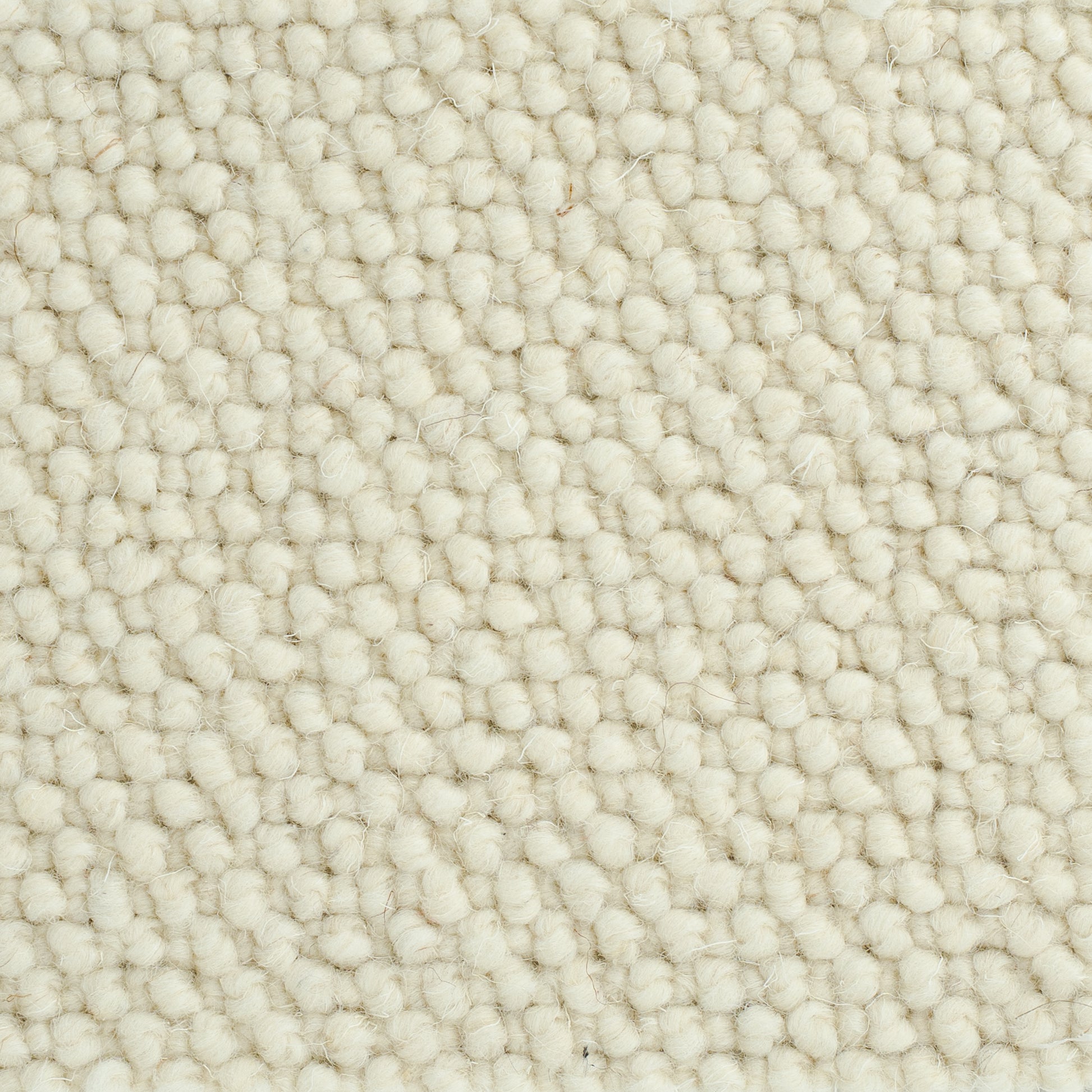 New-Zealand-wool-vit-01