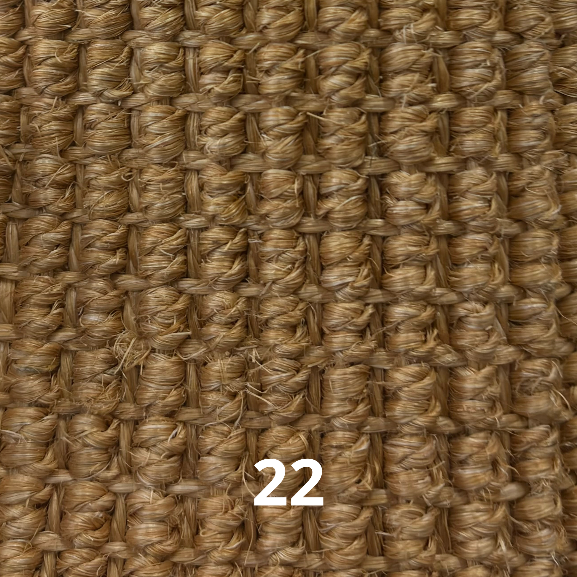 Robusta44HeavyBoucle-22