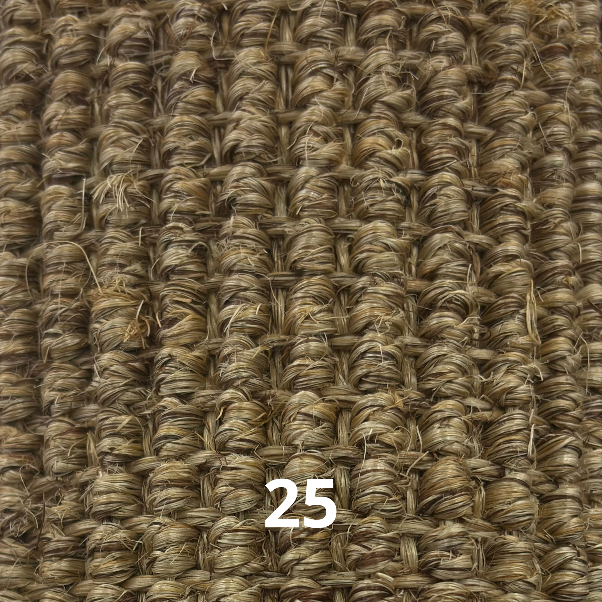 Robusta44HeavyBoucle-25
