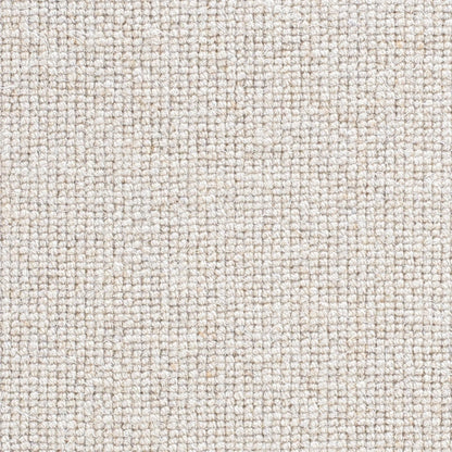 Sora-316-Chiton_2024-09-27-193514_hddi