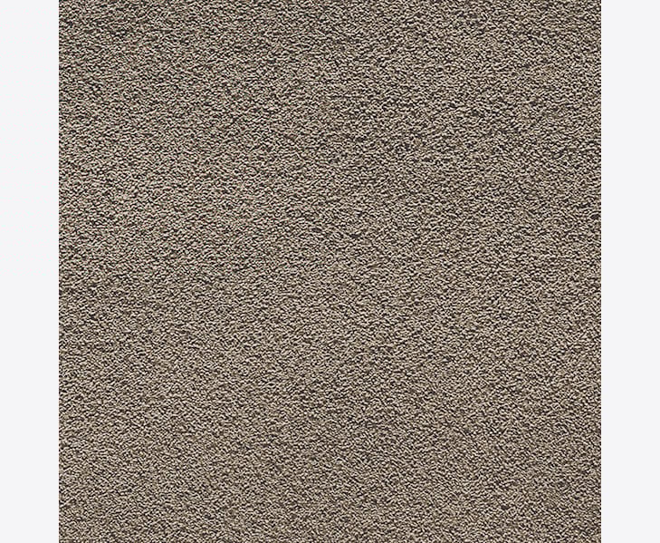 TaupemjukmattaCamelot