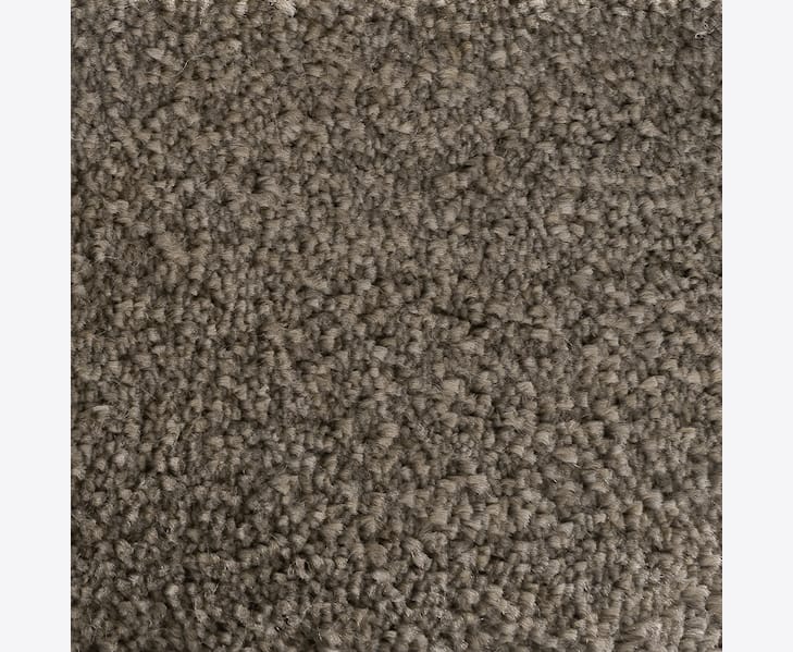 TaupemjukmattaSanford