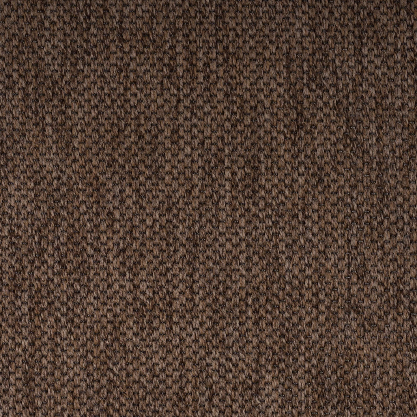 brown-panama-69-31-131