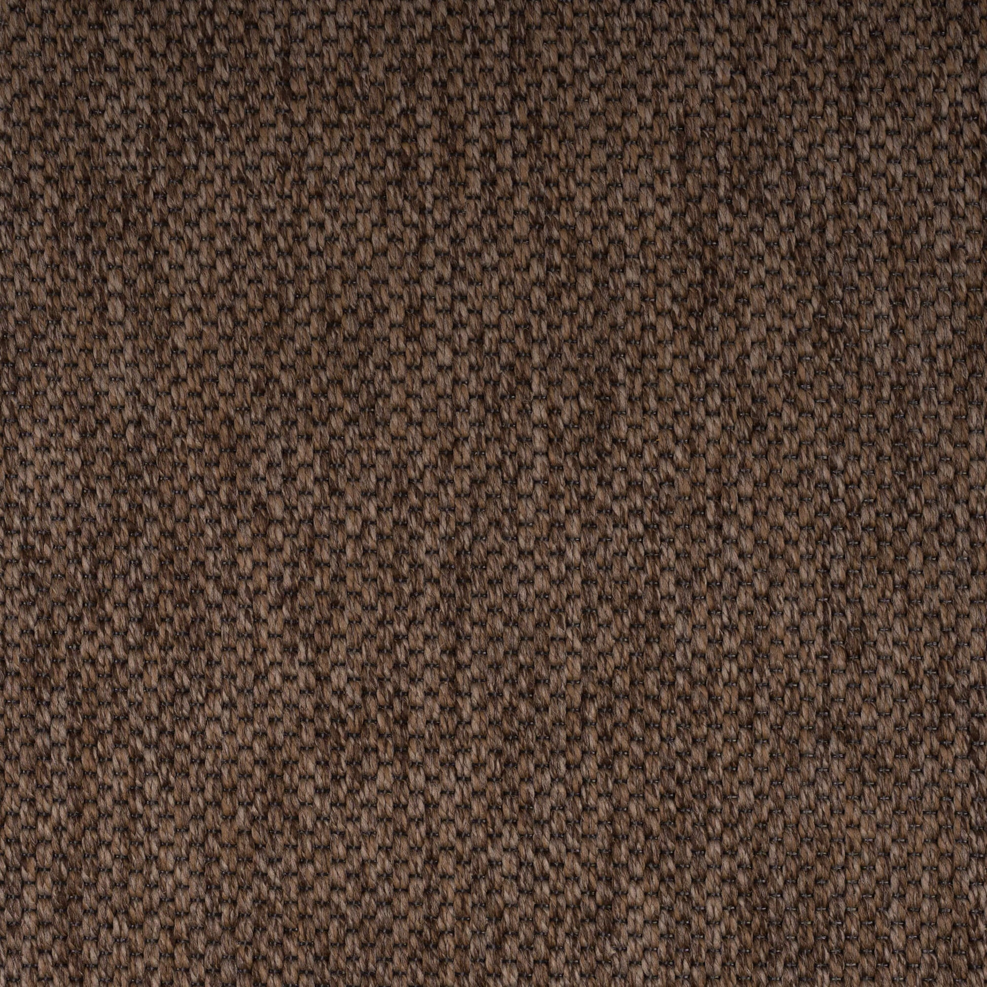 brown-panama-69-31-131