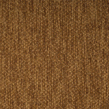 PANAMA-camel-3229