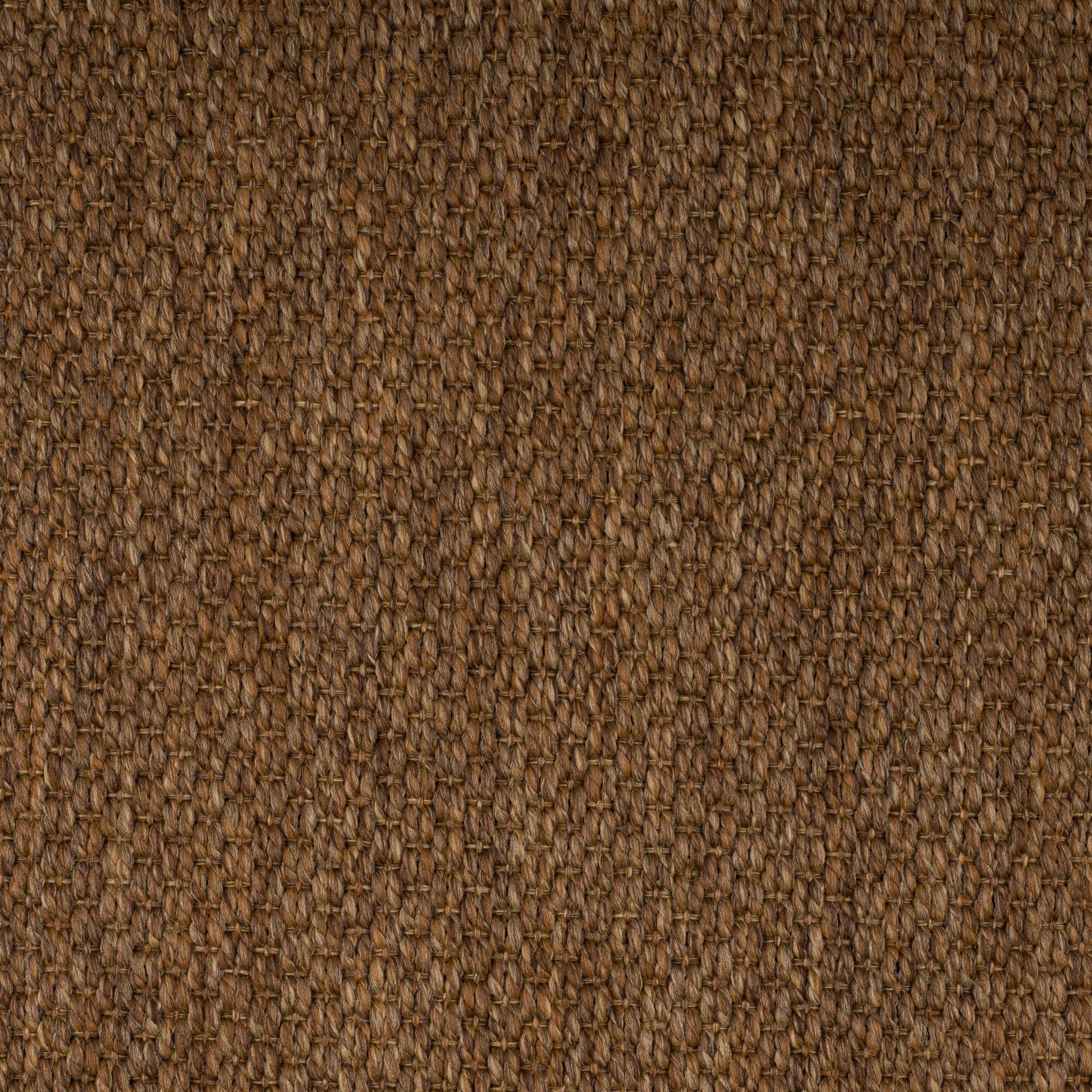 camel-tigereye-74-16-131