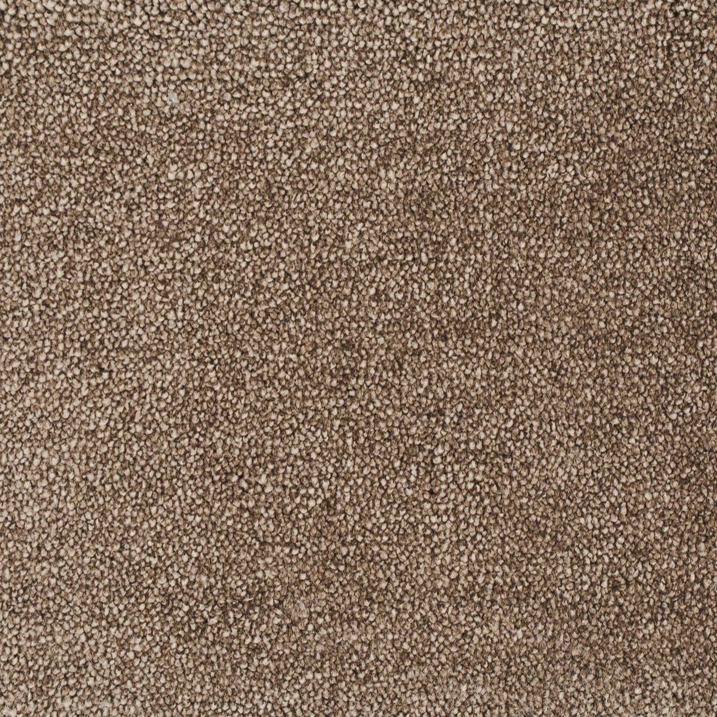 carisma-brun-92