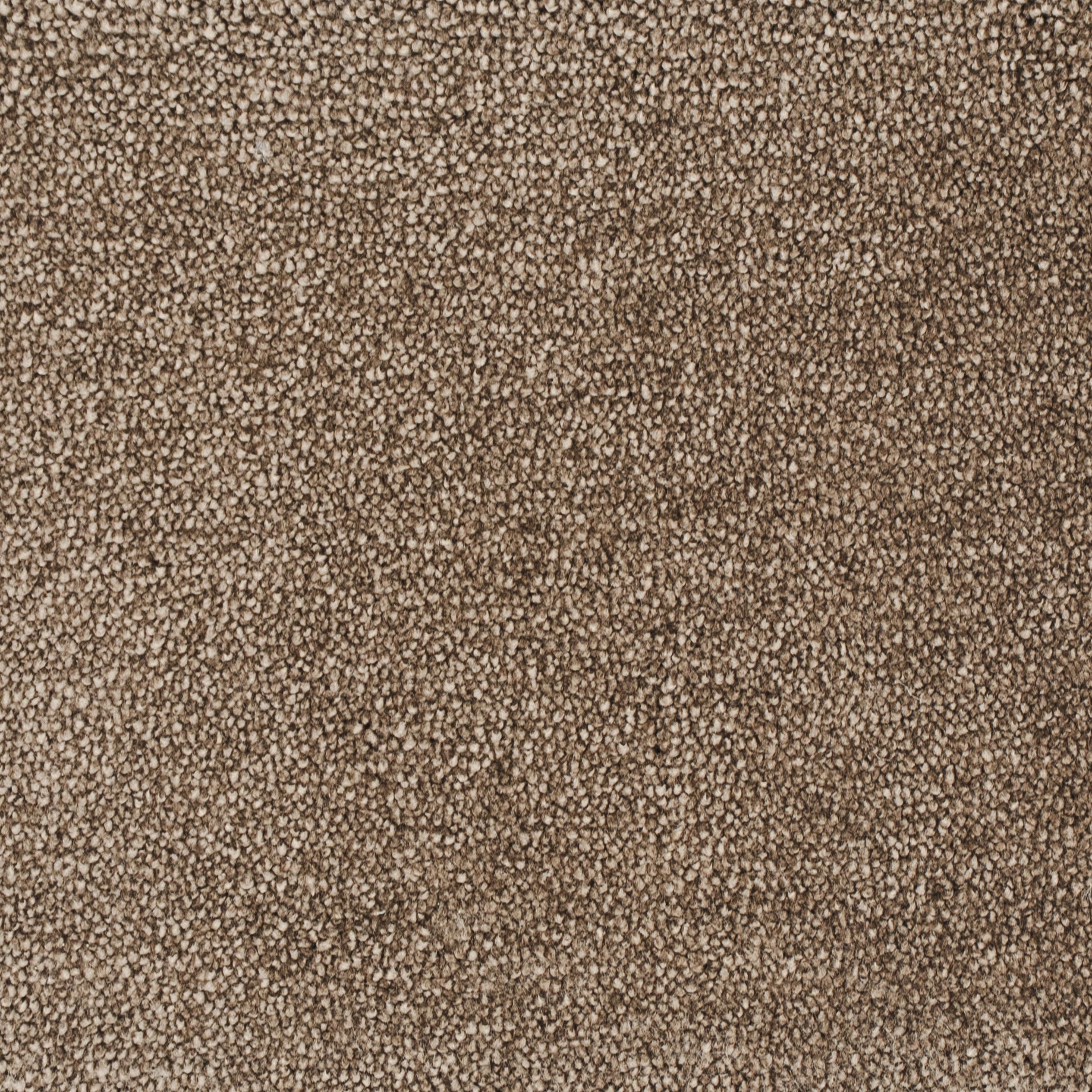carisma-brun-92