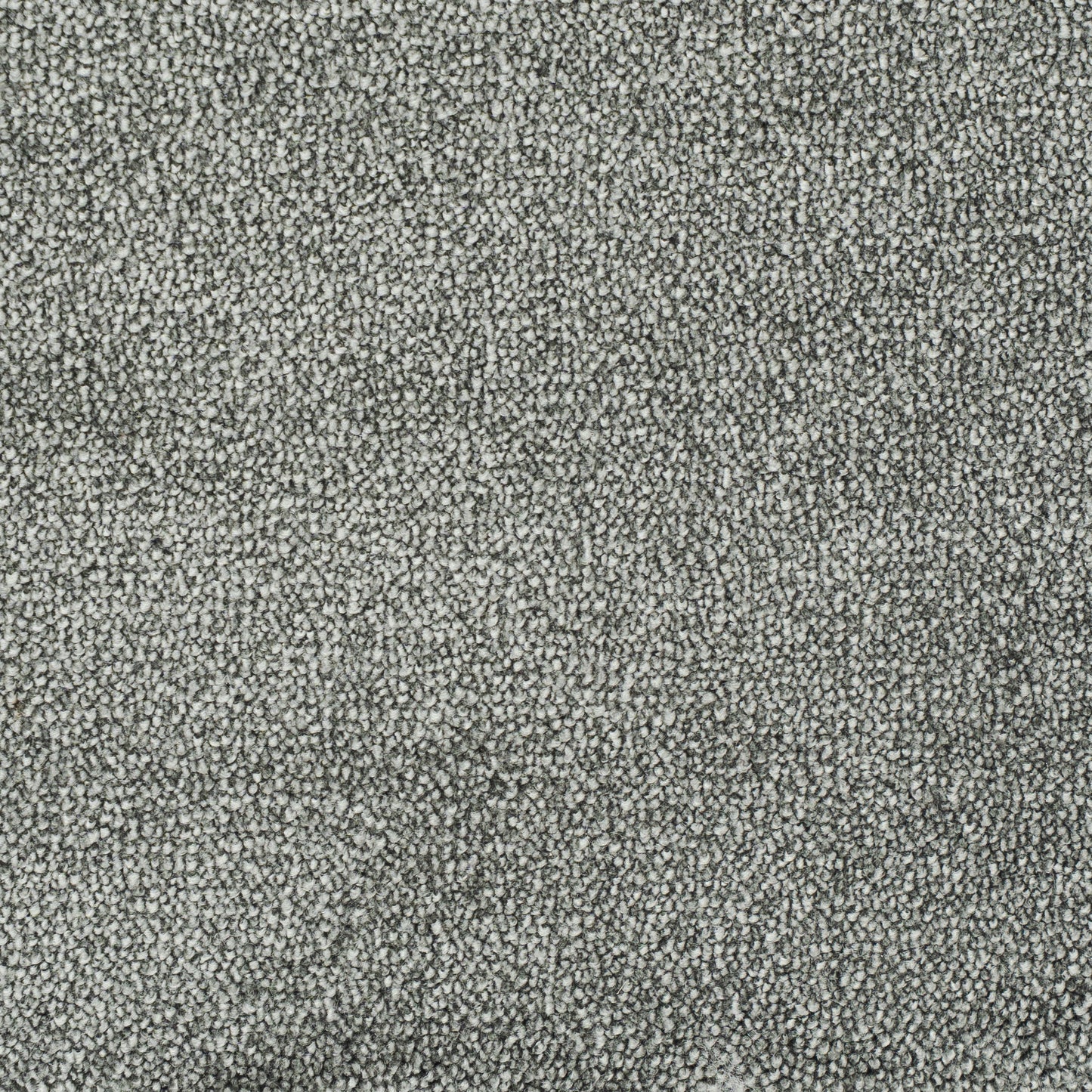 carisma-gra-75