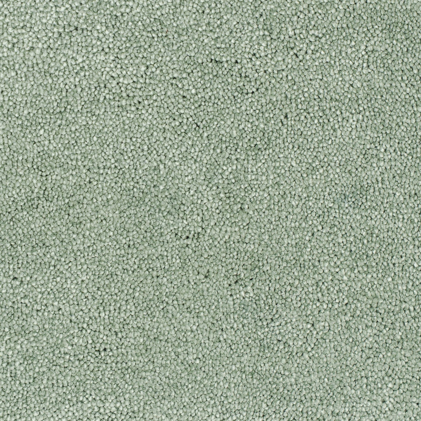carisma-pistage-42