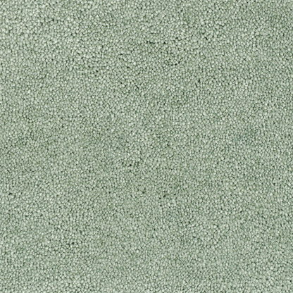 carisma-pistage-42