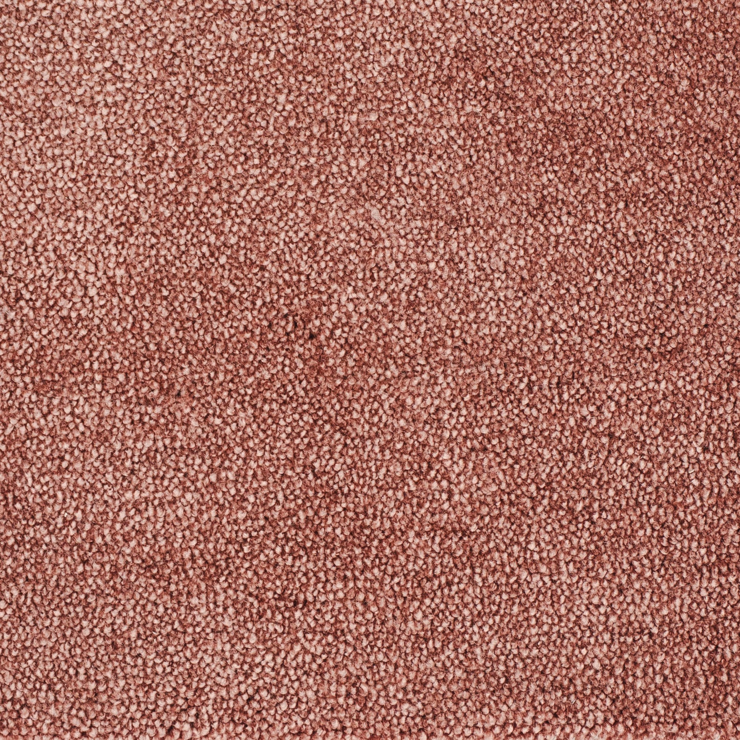 carisma-rose-10