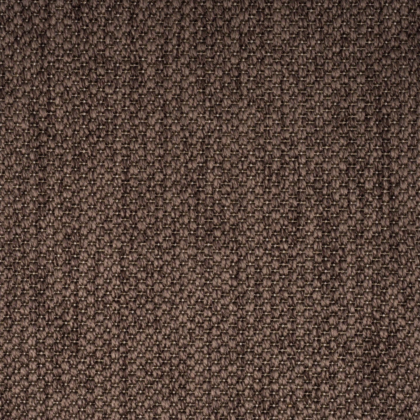 PANAMA-dark-brown-3272