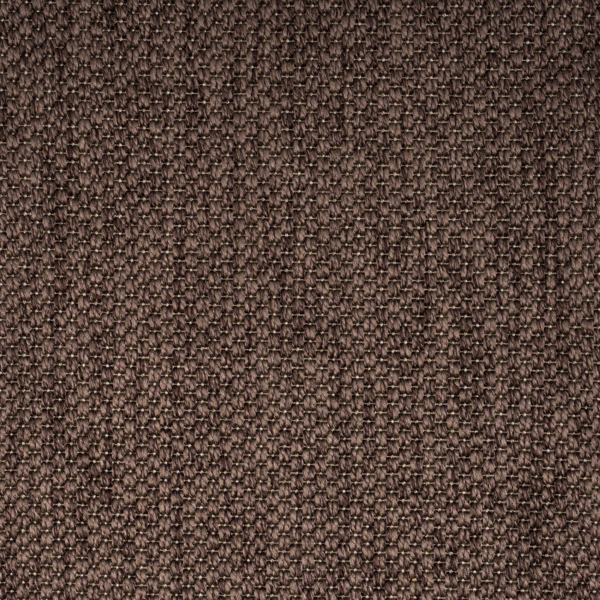 PANAMA-dark-brown-3272