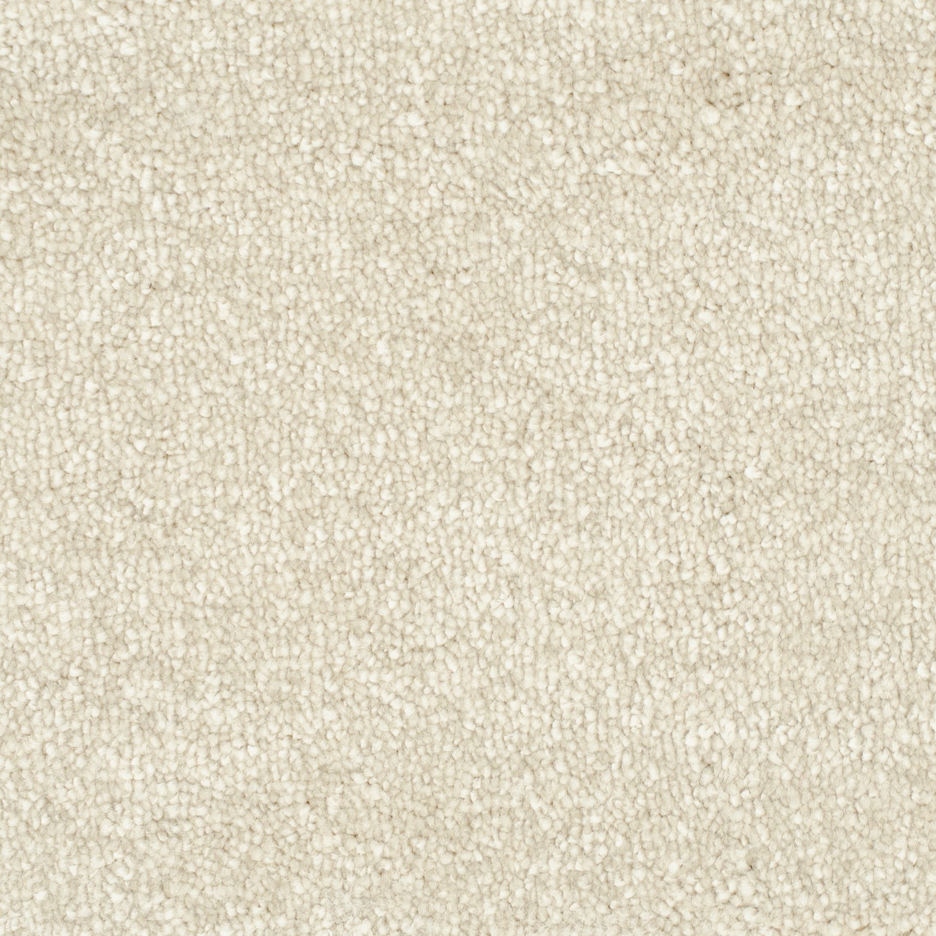 euphoria-creme-35
