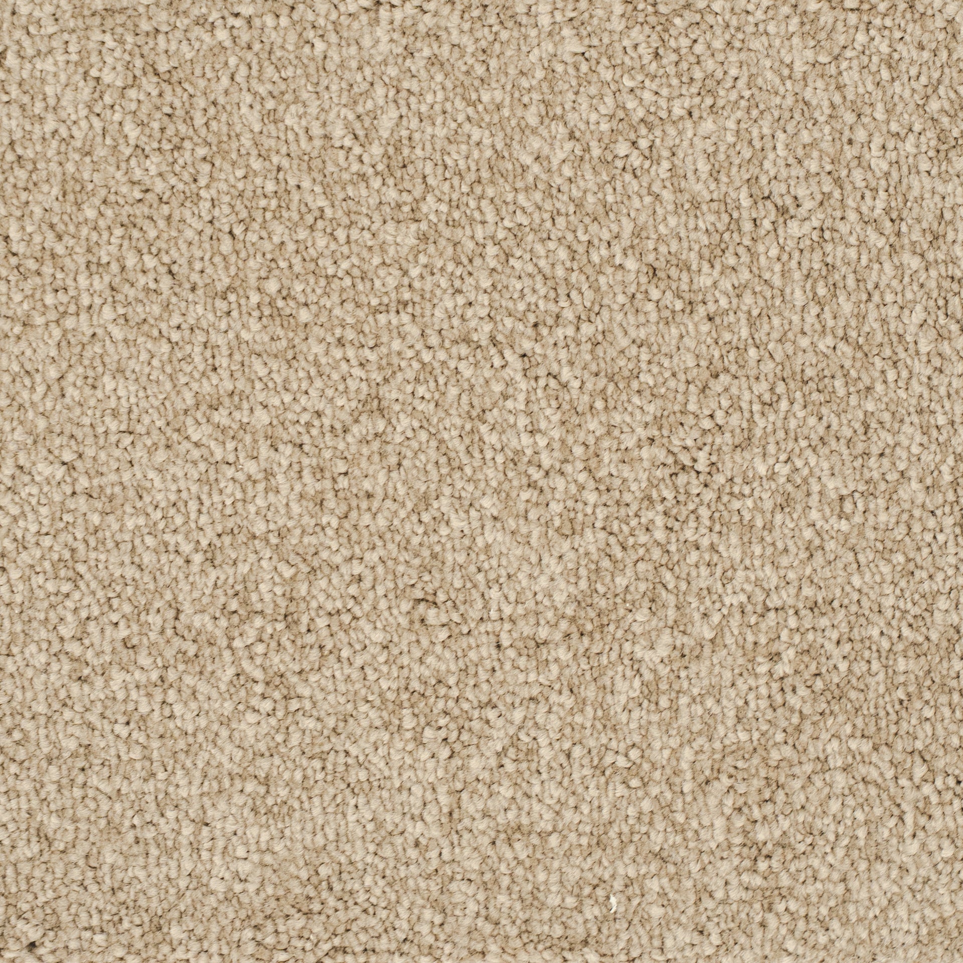 euphoria.nougat-37