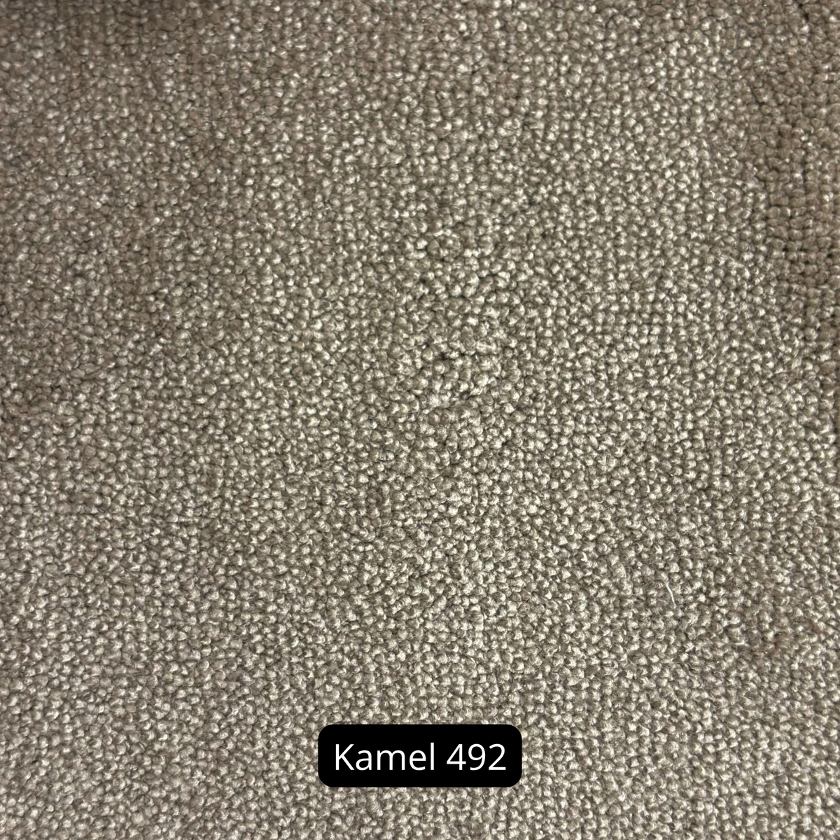fame_kjellbergs_kamel492
