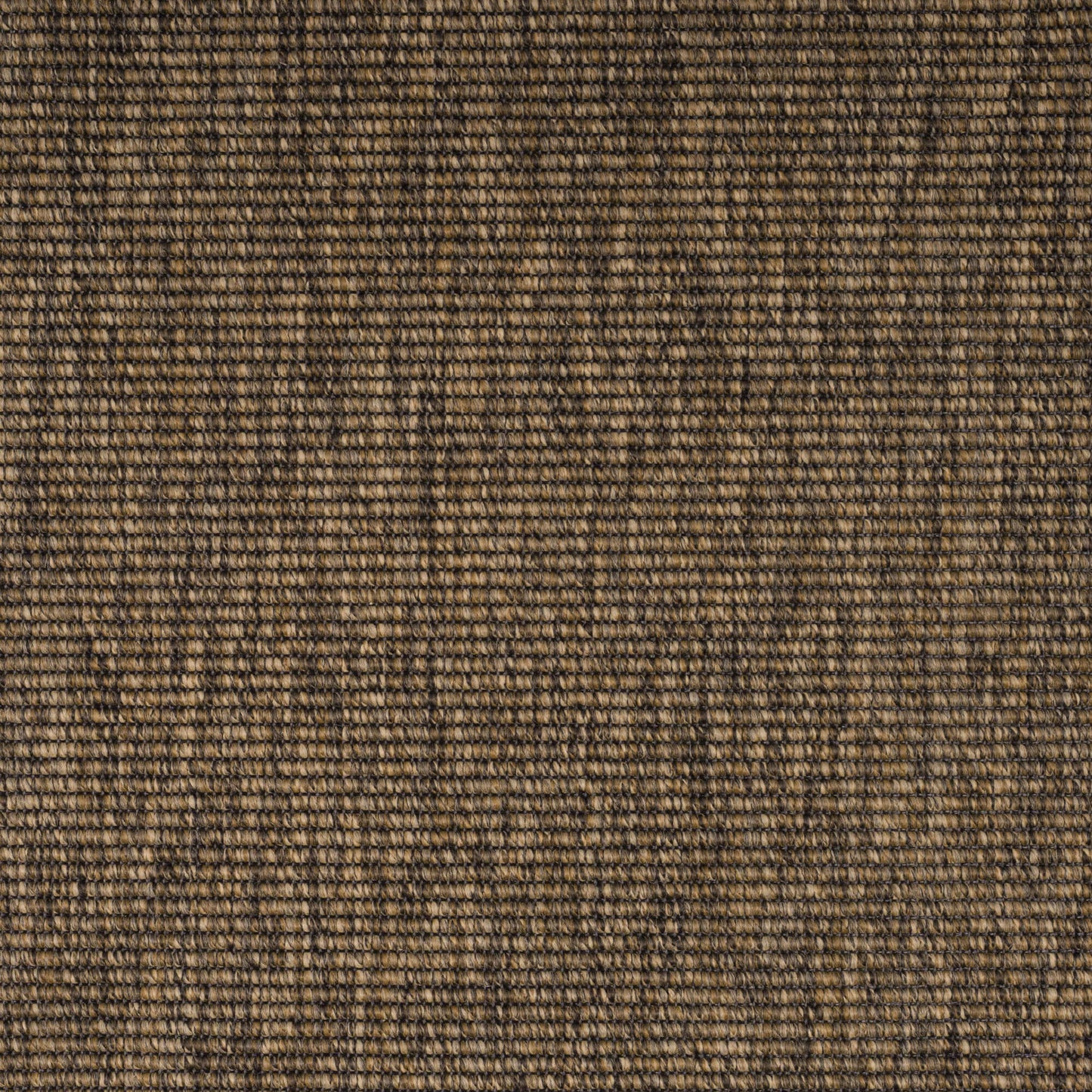 forest-boucle67-66-131